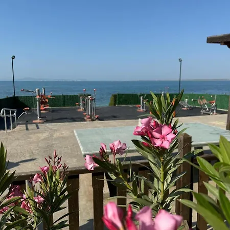Daire Cozy 1 Bed In Lesso Complex