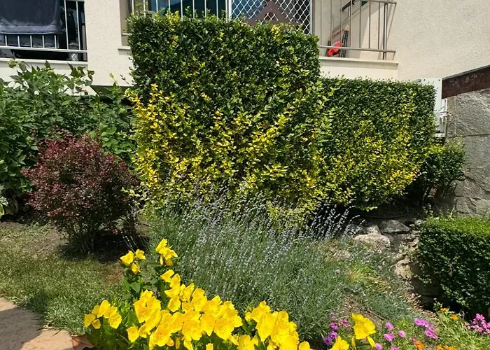 شقة Cozy 1 Bed In Lesso Complex رافدا