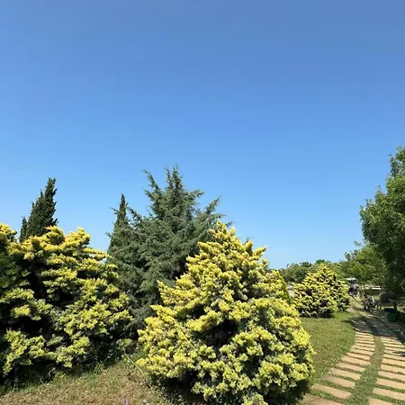 Cozy 1 Bed In Lesso Complex Ράβντα