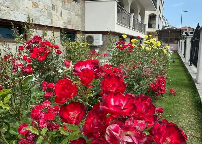 Cozy 1 Bed In Lesso Complex Апартаменты